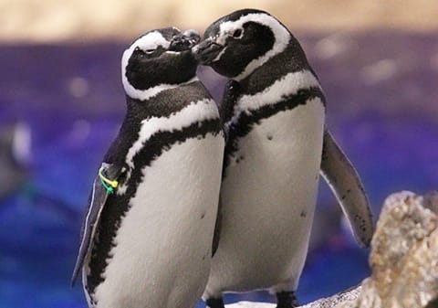 Sumida Aquarium Tokyo Sky Tree © TOBU RAILWAY