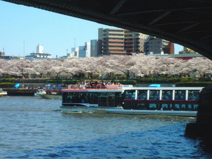Sumida River Cruise