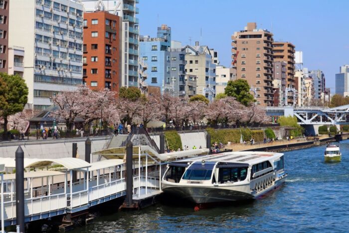 Sumida River Cruise