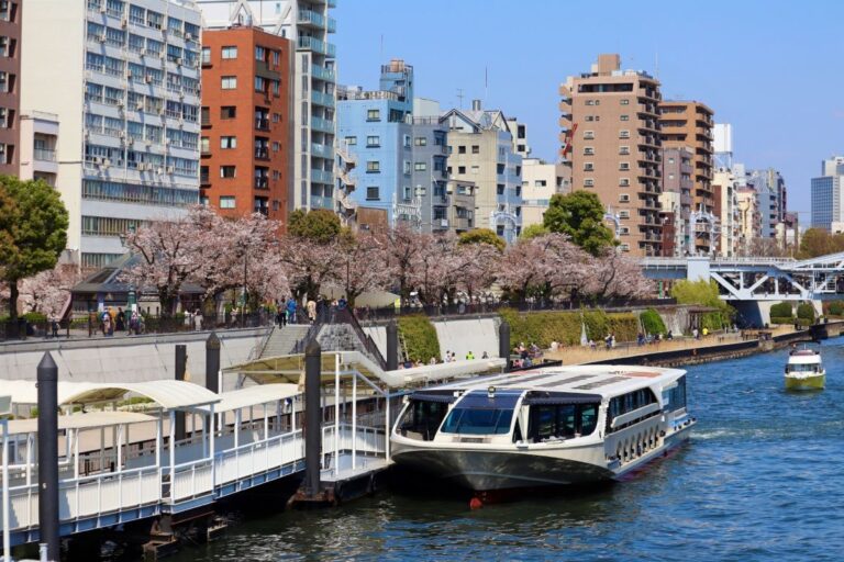 Sumida River Cruise