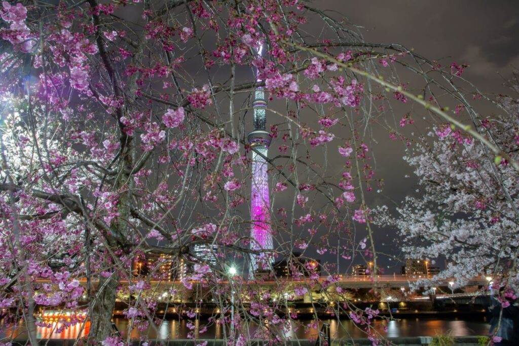 Sumida River Terrace Tokyo