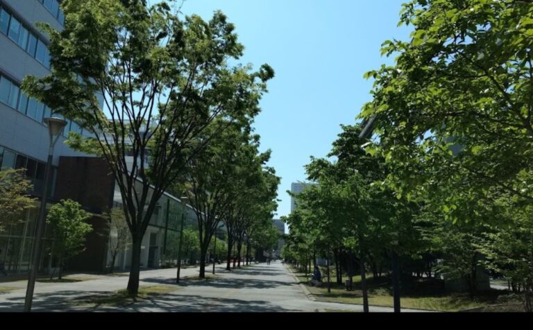 Tachikawa Central Park