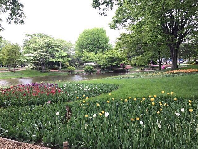 Tachikawa Park
