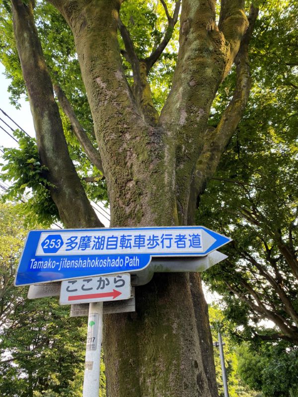 Tama Lake Cycling Path