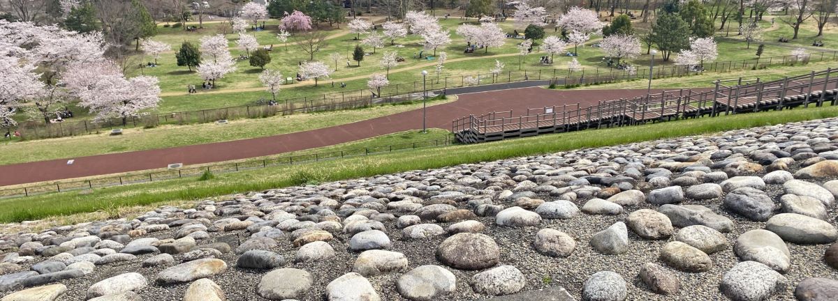 Tama Lake Cycling Path