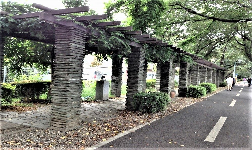 Tama Lake Cycling Path