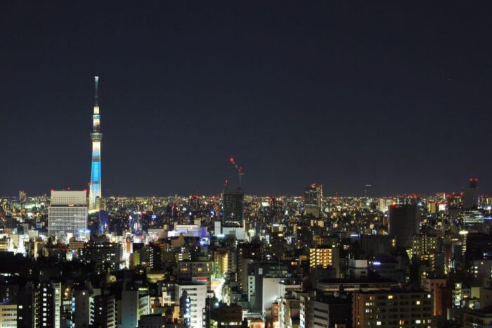Tokyo Metropolitan Government Building Observation Decks
