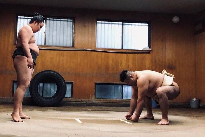 Tokyo Sumo Morning Practice Walking Tour Viator