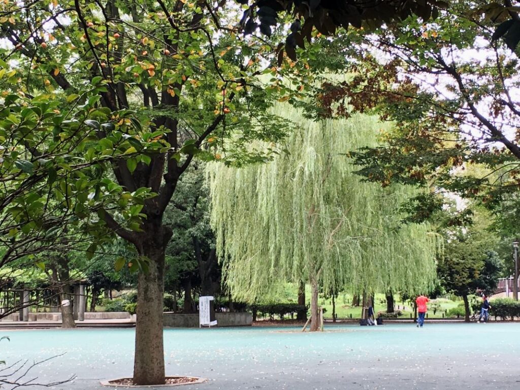 Toyama Park Shinjuku