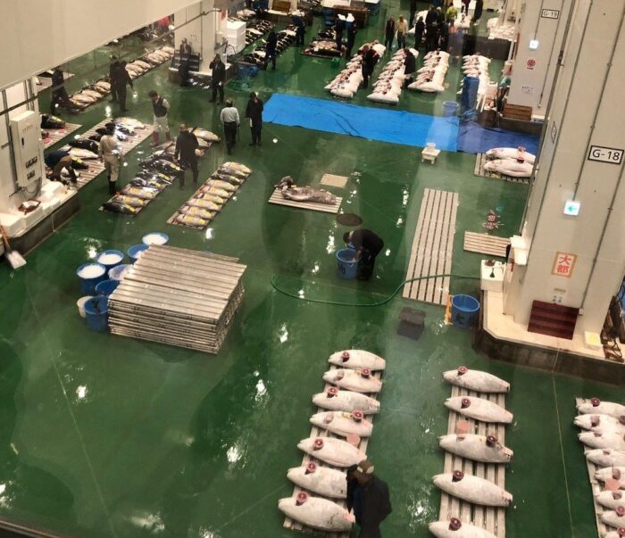 Toyosu Fish Market