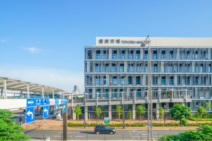 Toyosu Fish Market Tour