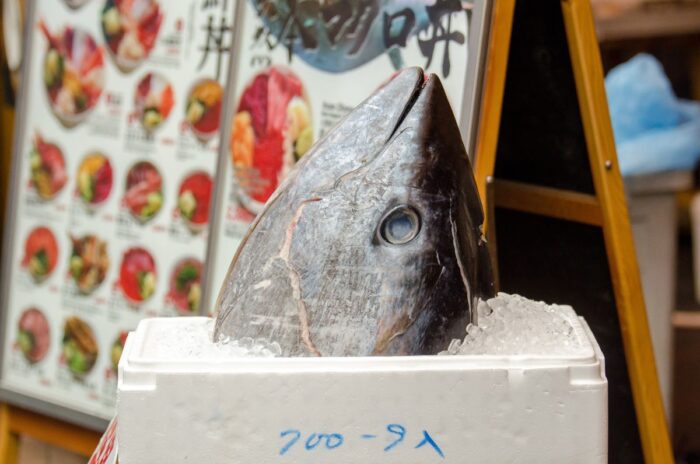 Tsukiji Fish Market