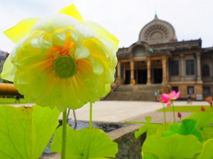 Tsukiji Hongan ji Tokyo