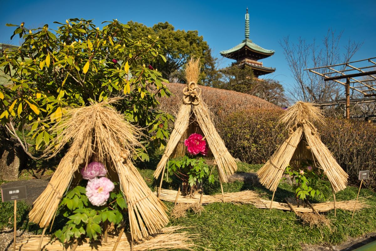 Ueno Toshogu Shrine