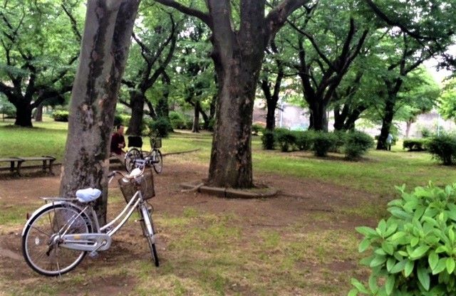 Wadabori Park Suginami Tokyo