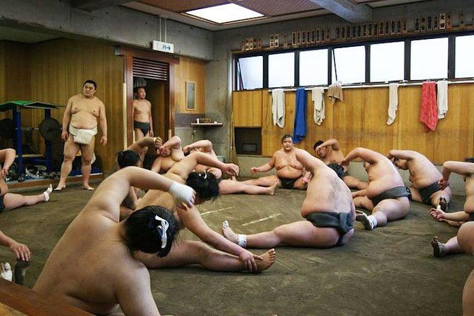 Watch Morning Practice at a Sumo Stable in Tokyo Viator