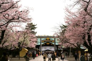 Yasukuni Shrine Cherry Blossom