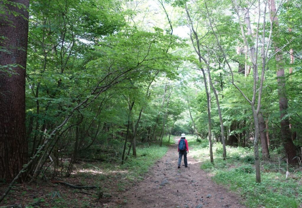 Yoshidaguchi mountain trail hiking Mt. Fuji