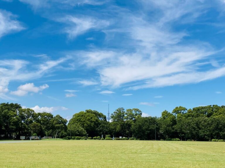 Yume no Shima Park Koto City