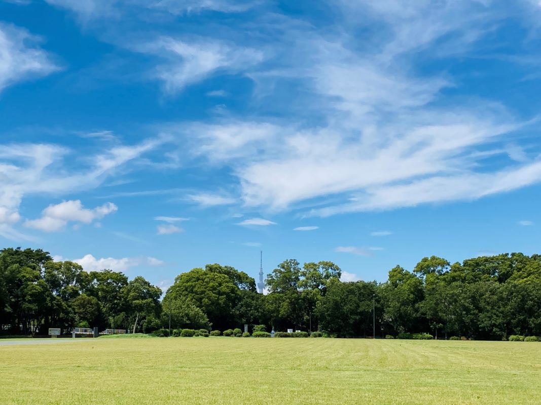 Yume no Shima Park Koto City