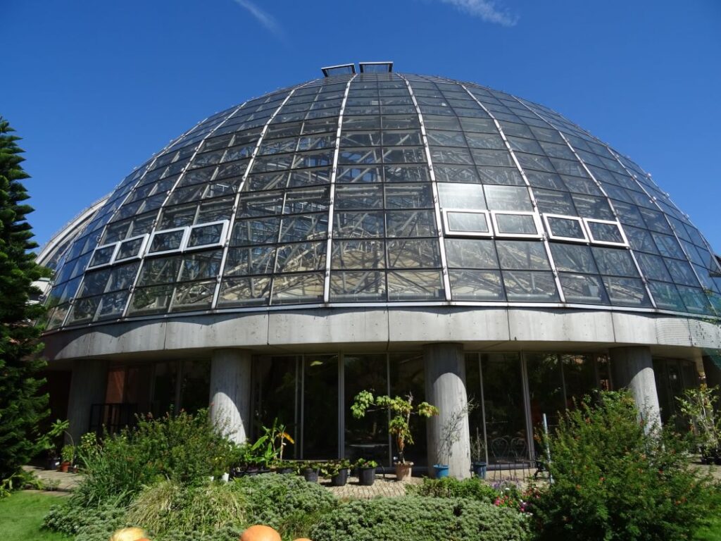 Yume no Shima Park Koto City