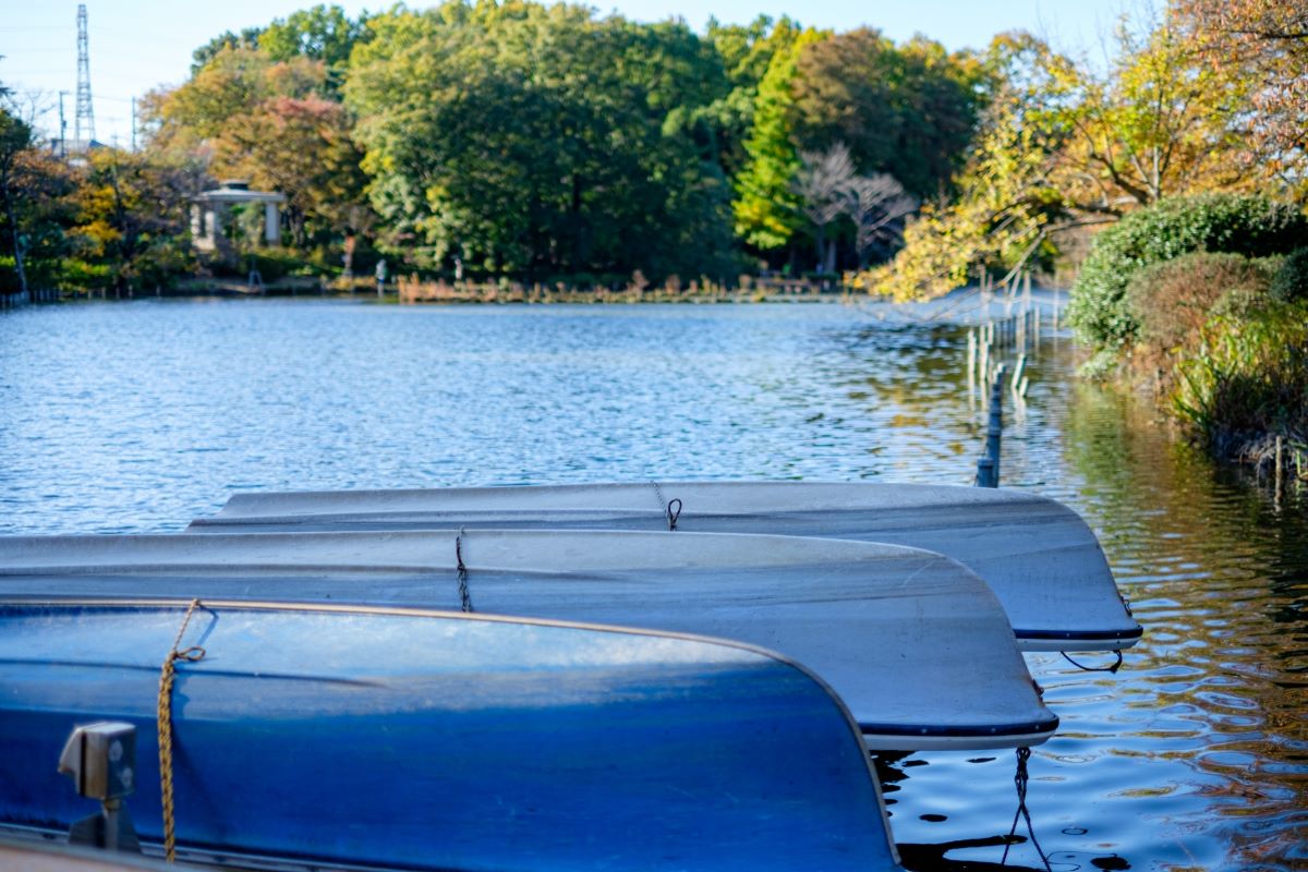 Zenpikuji Park Suginami