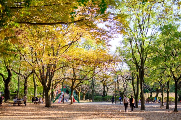 Zenpikuji Park Suginami