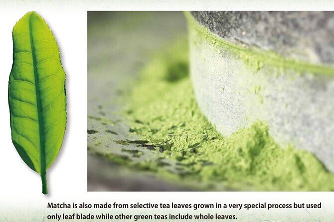 a-90-min-tea-ceremony-workshop-in-the-authentic-tea-room7