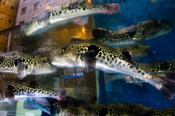 Adventurous Japanese Food Tour - Unusual Delicacies to Try in Japan