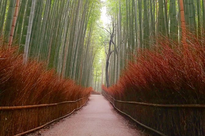 Afternoon Arashiyama Bamboo Forest & Monkey Park Bike Tour - Booking and Pricing Information