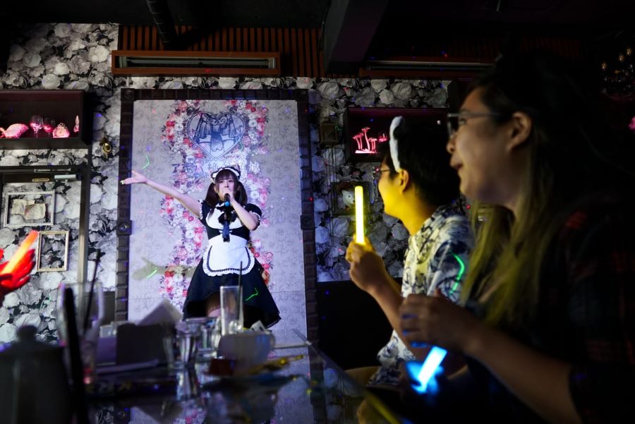 Akihabara Anime & Gaming Adventure Tour - Delving Into the World of Maid Cafes