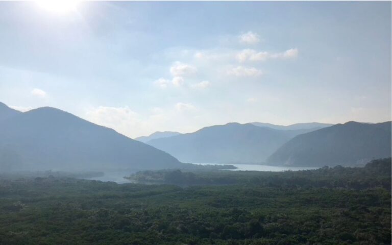 Amami: 朝のマングローブカヤックツアー