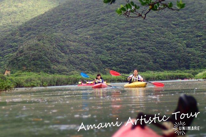 Amami Mangrove Canoe Tour In Kagoshima