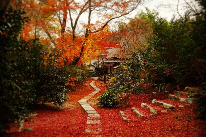 arashiyama-bamboo-bike-tour-early-bird7