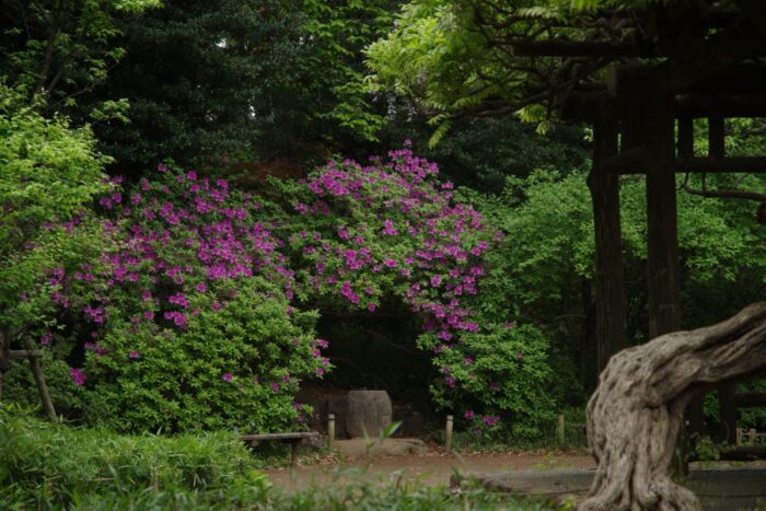 Arisugawa No Miya Memorial Park