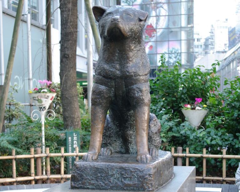 Audio Guide Tour: Deeper Experience of Shibuya Sightseeing