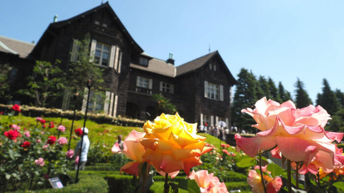 Autumn Rose Festival At Kyu Furukawa Gardens