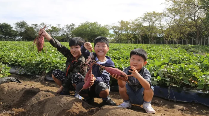 Chiba Mother Farm Ticket Tokyo Japan Klook