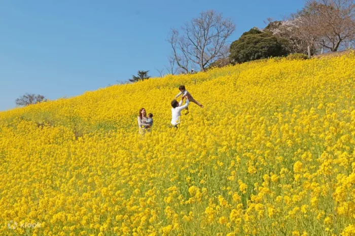 Chiba Mother Farm Ticket Tokyo Japan Klook