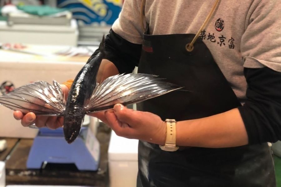 Classic Tsukiji Breakfast Tour Daytime