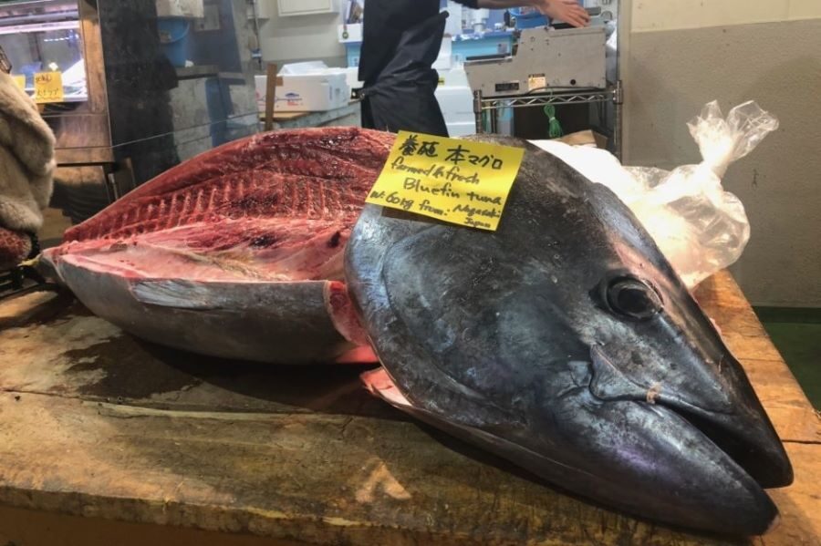 Classic Tsukiji Breakfast Tour Daytime