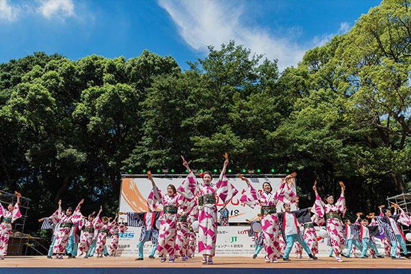 Copyright Harajuku Omotesando Super Yosakoi