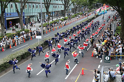 Copyright Harajuku Omotesando Super Yosakoi