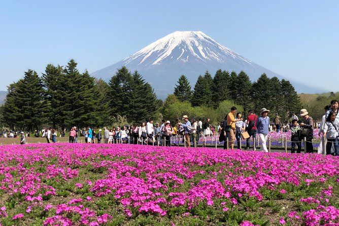 Day Private Mt Fuji Sightseeing Tour In Car Or Van With English Speaking Driver