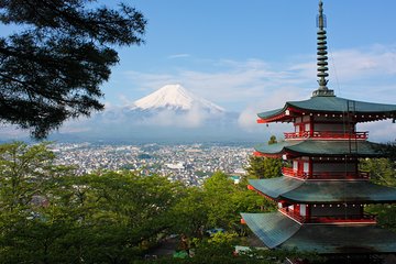 Day Private Mt Fuji Tour Charter English Speaking Driver Tokyo