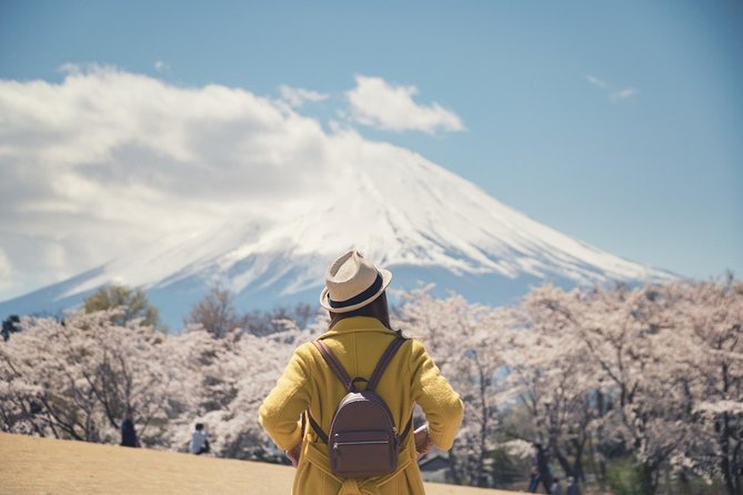 Day Private Mt Fuji Tour Charter English Speaking Driver Tokyo