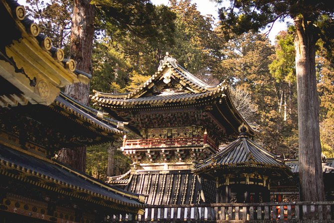 Day Private Nikko World Heritage Tour Charter English Speaking Driver