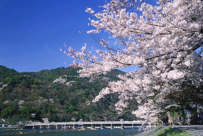 Day Trip to Kyoto From Osaka/Kyoto - Reviews and Recommendations From Viator and Tripadvisor