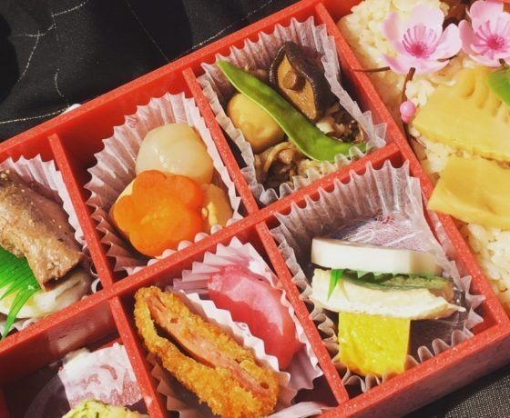 Daytime Hanami Cherry Blossom Tour Tokyo