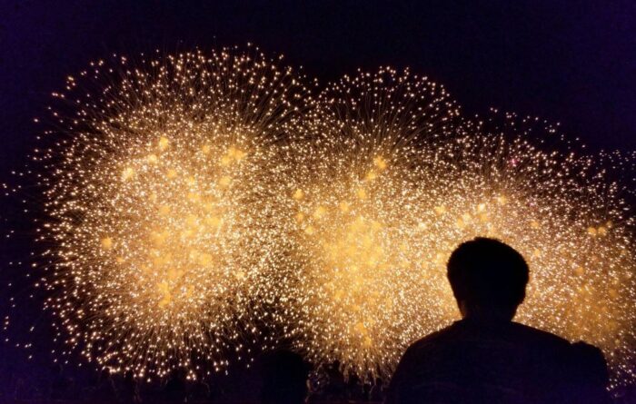 Edogawa Fireworks Festival
